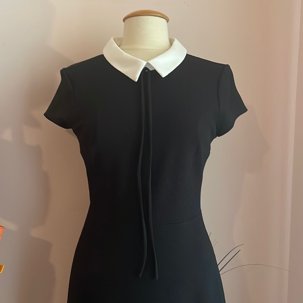 Size 6 black dress white collar Wednesday Dress Vintage Mod Style